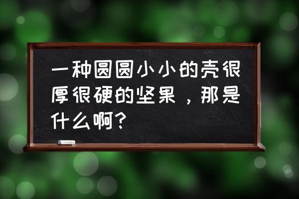特别硬的坚果是什么 一种圆圆小小的壳很厚很硬的坚果,那是什么啊? 特别硬的坚果是什么 一种圆圆小小的壳很厚很硬的坚果,那是什么啊?