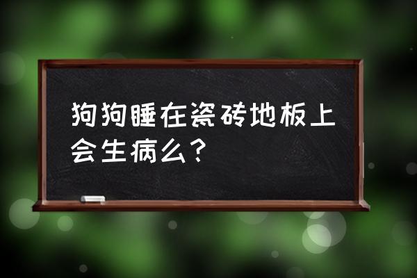 金毛睡地板砖有什么危害 狗狗睡在瓷砖地板上会生病么? 金毛睡地板砖有什么危害 狗狗睡在瓷砖地板上会生病么?