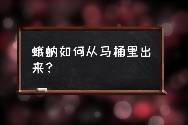 下水道飞虫会不会从马桶出来 蛾蚋如何从马桶里出来? 下水道飞虫会不会从马桶出来 蛾蚋如何从马桶里出来?