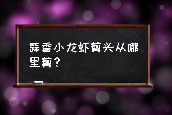 生小龙虾怎么挤尾巴的肉 蒜香小龙虾剪头从哪里剪? 生小龙虾怎么挤尾巴的肉 蒜香小龙虾剪头从哪里剪?