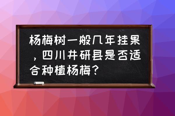 四川哪里有杨梅树苗 杨梅树一般几年挂果,四川井研县是否适合种植杨梅? 四川哪里有杨梅树苗 杨梅树一般几年挂果,四川井研县是否适合种植杨梅?