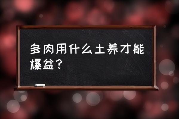 多肉硅藻土用量是多少 多肉用什么土养才能爆盆? 多肉硅藻土用量是多少 多肉用什么土养才能爆盆?