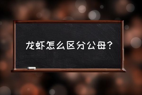 小龙虾如何辨别公母 龙虾怎么区分公母? 小龙虾如何辨别公母 龙虾怎么区分公母?