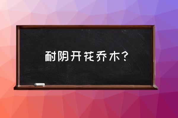 地栽乔木花卉有哪些 耐阴开花乔木? 地栽乔木花卉有哪些 耐阴开花乔木?