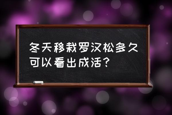 罗汉松冬天怎样养护 冬天移栽罗汉松多久可以看出成活? 罗汉松冬天怎样养护 冬天移栽罗汉松多久可以看出成活?