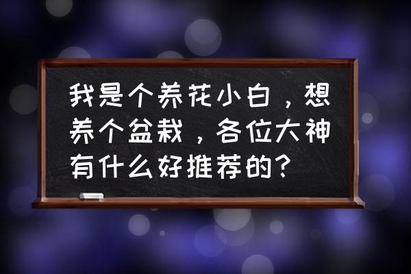 桔梗最后为什么会死 我是个养花小白,想养个盆栽,各位大神有什么好推荐的? 桔梗最后为什么会死 我是个养花小白,想养个盆栽,各位大神有什么好推荐的?