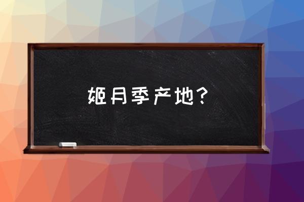 姬月季叶子枯了是为什么 姬月季产地? 姬月季叶子枯了是为什么 姬月季产地?
