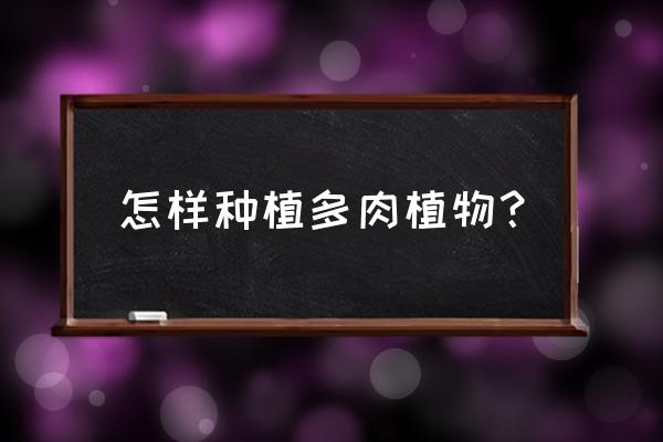 刚收到的熊童子上盆需要修根吗 怎样种植多肉植物? 刚收到的熊童子上盆需要修根吗 怎样种植多肉植物?