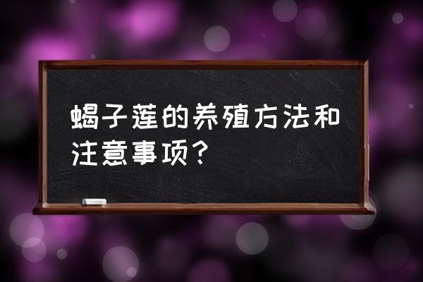 蟹脚莲的养殖方法和注意事项 蝎子莲的养殖方法和注意事项? 蟹脚莲的养殖方法和注意事项 蝎子莲的养殖方法和注意事项?