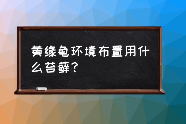 适合用苔藓培养的绿植 黄缘龟环境布置用什么苔藓? 适合用苔藓培养的绿植 黄缘龟环境布置用什么苔藓?