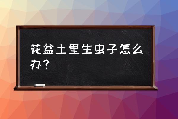 植物种下去发现土里有虫子怎么办 花盆土里生虫子怎么办? 植物种下去发现土里有虫子怎么办 花盆土里生虫子怎么办?
