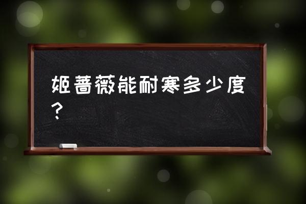 能抗寒零下40度的衣服 姬蔷薇能耐寒多少度? 能抗寒零下40度的衣服 姬蔷薇能耐寒多少度?