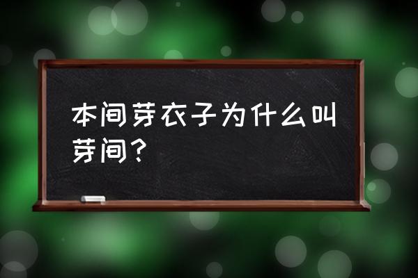 芽衣子日本电视剧中文解说 本间芽衣子为什么叫芽间? 芽衣子日本电视剧中文解说 本间芽衣子为什么叫芽间?