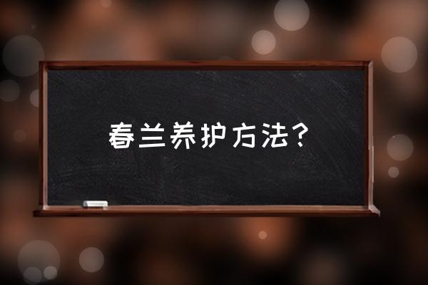 养兰花只需记住这3点 春兰养护方法? 养兰花只需记住这3点 春兰养护方法?
