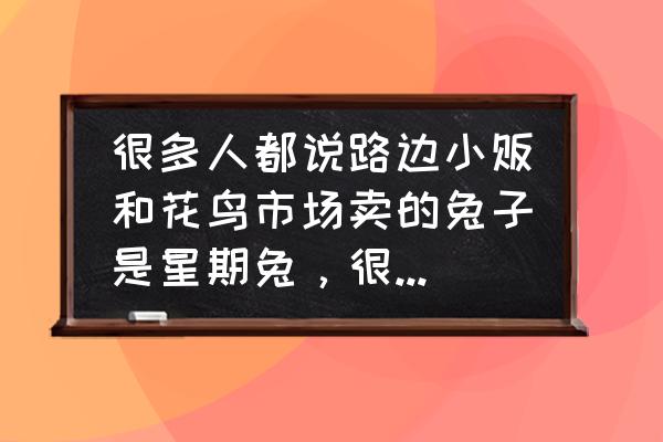 爱死小白和爱死小白兔有什么区别 很多人都说路边小贩和花鸟市场卖的兔子是星期兔,很容易死。不知道有没有人养活过这种兔子? 爱死小白和爱死小白兔有什么区别 很多人都说路边小贩和花鸟市场卖的兔子是星期兔,很容易死。不知道有没有人养活过这种兔子?
