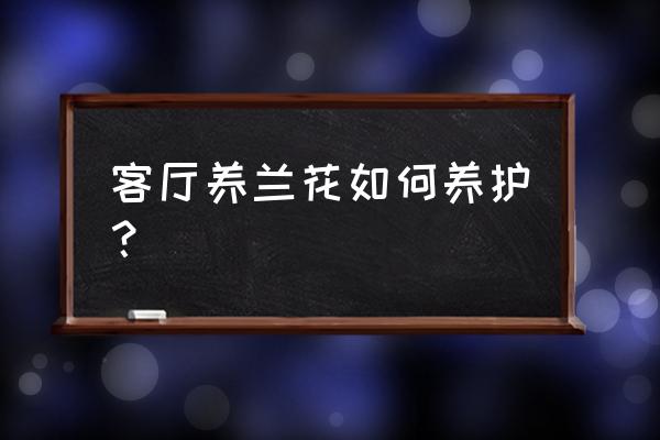 室内客厅花艺布置 客厅养兰花如何养护? 室内客厅花艺布置 客厅养兰花如何养护?