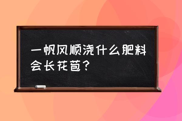 白掌开花到什么程度可以剪掉花苞 一帆风顺浇什么肥料会长花苞? 白掌开花到什么程度可以剪掉花苞 一帆风顺浇什么肥料会长花苞?