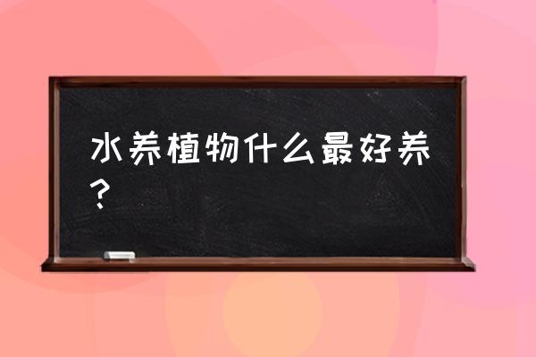 一叶莲剪下来怎么养 水养植物什么最好养? 一叶莲剪下来怎么养 水养植物什么最好养?
