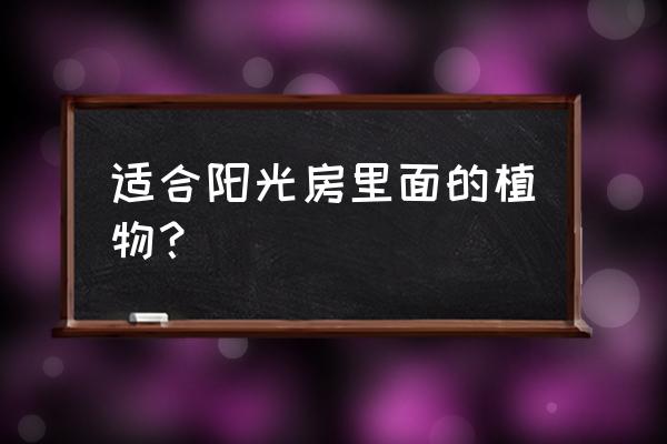 铁兰的种植方法和注意事项 适合阳光房里面的植物? 铁兰的种植方法和注意事项 适合阳光房里面的植物?