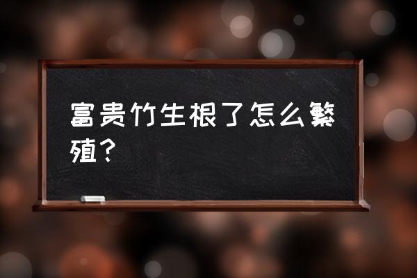 福贡竹怎样才能生根 富贵竹生根了怎么繁殖? 福贡竹怎样才能生根 富贵竹生根了怎么繁殖?