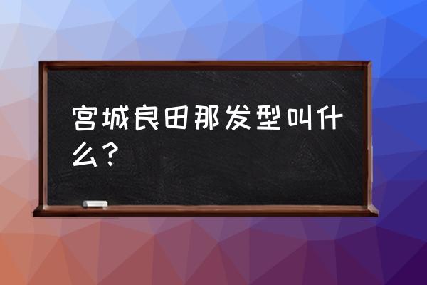 灌篮高手宫城良田帅照 宫城良田那发型叫什么? 灌篮高手宫城良田帅照 宫城良田那发型叫什么?