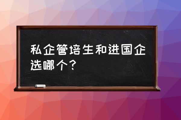 管培生和普通员工薪资一样吗 私企管培生和进国企选哪个? 管培生和普通员工薪资一样吗 私企管培生和进国企选哪个?