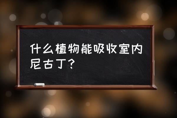 室内植物防抽烟 什么植物能吸收室内尼古丁? 室内植物防抽烟 什么植物能吸收室内尼古丁?