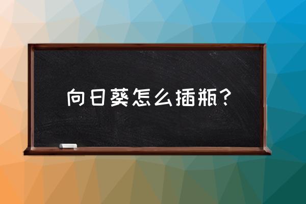 向日葵简易花瓶 向日葵怎么插瓶? 向日葵简易花瓶 向日葵怎么插瓶?