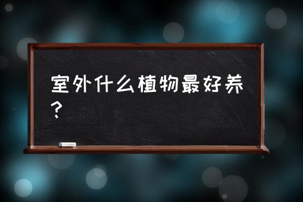 附近花园适宜生长的植物 室外什么植物最好养? 附近花园适宜生长的植物 室外什么植物最好养?