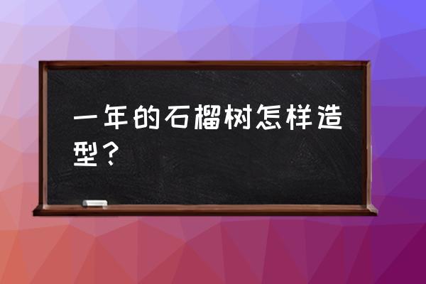 苗木造型基础知识 一年的石榴树怎样造型? 苗木造型基础知识 一年的石榴树怎样造型?