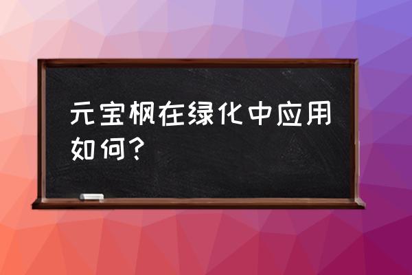 元宝树的种植方法及怎么修剪 元宝枫在绿化中应用如何? 元宝树的种植方法及怎么修剪 元宝枫在绿化中应用如何?