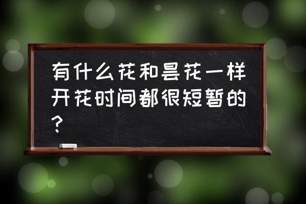 昙花怎么养能多开花儿 有什么花和昙花一样开花时间都很短暂的? 昙花怎么养能多开花儿 有什么花和昙花一样开花时间都很短暂的?