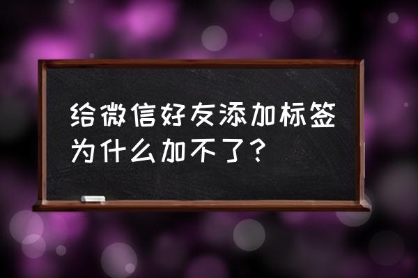 微信未添加标签怎么查看 给微信好友添加标签为什么加不了? 微信未添加标签怎么查看 给微信好友添加标签为什么加不了?