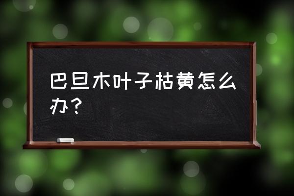 植物叶片干枯发黄怎么办 巴旦木叶子枯黄怎么办? 植物叶片干枯发黄怎么办 巴旦木叶子枯黄怎么办?