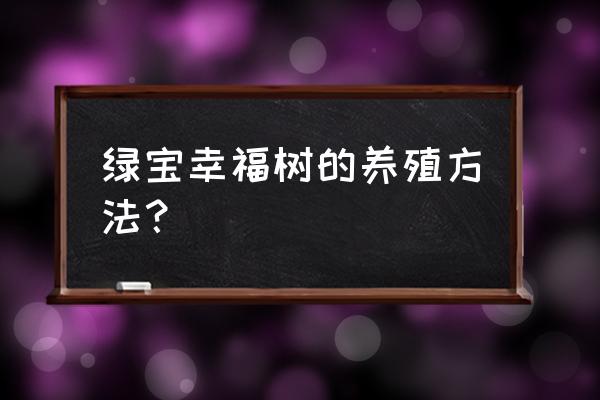 刚买回来的幸福树怎么养护和浇水 绿宝幸福树的养殖方法? 刚买回来的幸福树怎么养护和浇水 绿宝幸福树的养殖方法?