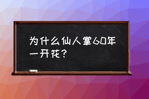 仙人掌的种植发育全过程图 为什么仙人掌60年一开花? 仙人掌的种植发育全过程图 为什么仙人掌60年一开花?