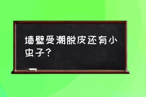 家里潮湿发霉有虫子怎么办 墙壁受潮脱皮还有小虫子? 家里潮湿发霉有虫子怎么办 墙壁受潮脱皮还有小虫子?