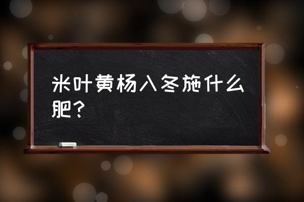 黄杨树用什么肥料最好 米叶黄杨入冬施什么肥? 黄杨树用什么肥料最好 米叶黄杨入冬施什么肥?