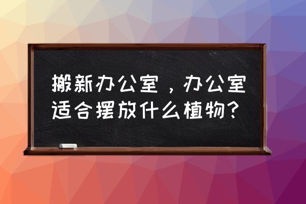 办公室适合摆放什么 搬新办公室,办公室适合摆放什么植物? 办公室适合摆放什么 搬新办公室,办公室适合摆放什么植物?