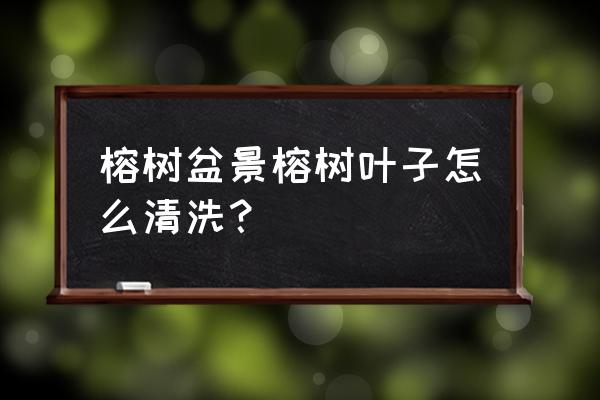 盆栽叶子灰尘怎么去除 榕树盆景榕树叶子怎么清洗? 盆栽叶子灰尘怎么去除 榕树盆景榕树叶子怎么清洗?