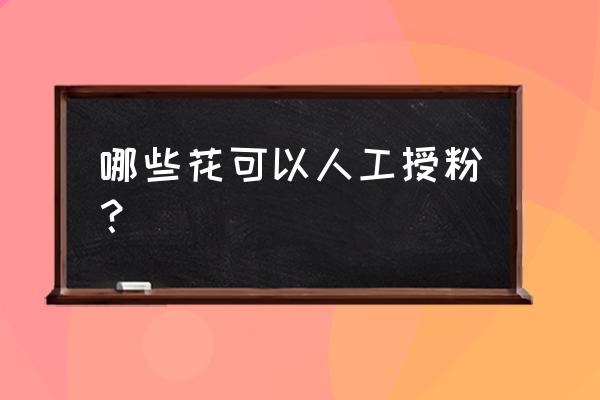 卫生纸做满天星怎么做 哪些花可以人工授粉? 卫生纸做满天星怎么做 哪些花可以人工授粉?