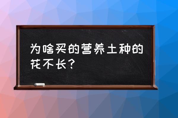 如何换花盆不让土散开 为啥买的营养土种的花不长? 如何换花盆不让土散开 为啥买的营养土种的花不长?