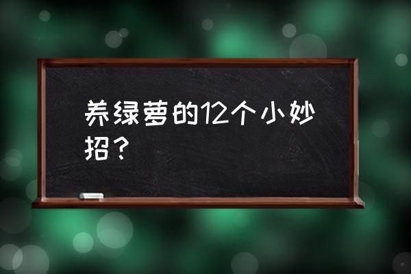 绿萝用什么浇水长得又好又快 养绿萝的12个小妙招? 绿萝用什么浇水长得又好又快 养绿萝的12个小妙招?