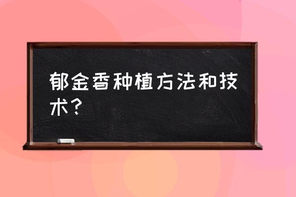 郁金香花期怎么浇水 郁金香种植方法和技术? 郁金香花期怎么浇水 郁金香种植方法和技术?