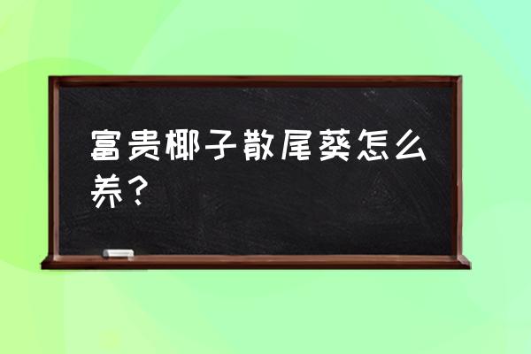 散尾葵用什么肥料 富贵椰子散尾葵怎么养? 散尾葵用什么肥料 富贵椰子散尾葵怎么养?