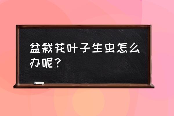 花长虫子怎么办快速解决方法 盆栽花叶子生虫怎么办呢? 花长虫子怎么办快速解决方法 盆栽花叶子生虫怎么办呢?