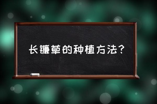 垂盆草家庭养殖方法和注意事项 长镰草的种植方法? 垂盆草家庭养殖方法和注意事项 长镰草的种植方法?