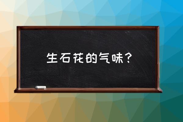 家庭种植生石花最大能长多大 生石花的气味? 家庭种植生石花最大能长多大 生石花的气味?