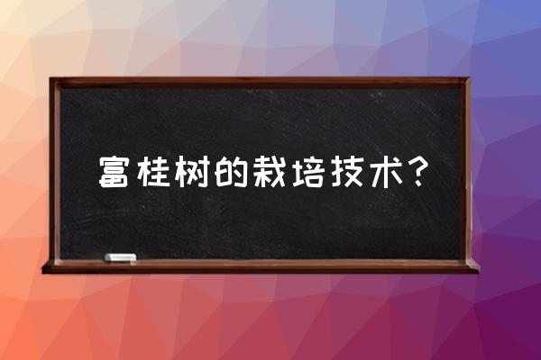 富贵树怎么养才能长得快又茂盛 富桂树的栽培技术? 富贵树怎么养才能长得快又茂盛 富桂树的栽培技术?
