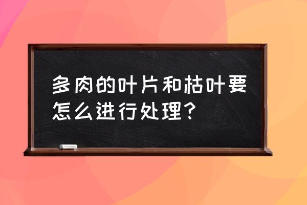 侍魂胧月传说法术怎么点 多肉的叶片和枯叶要怎么进行处理? 侍魂胧月传说法术怎么点 多肉的叶片和枯叶要怎么进行处理?